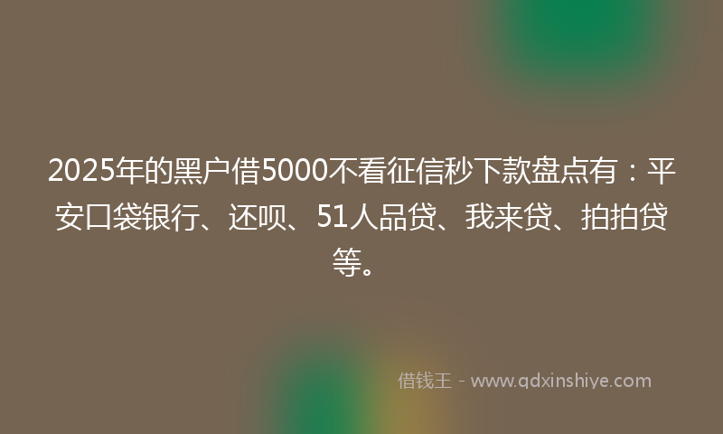 2025年的黑户借5000不看征信秒下款盘点有：平安口袋银行、还呗、51人品贷、我来贷、拍拍贷等。