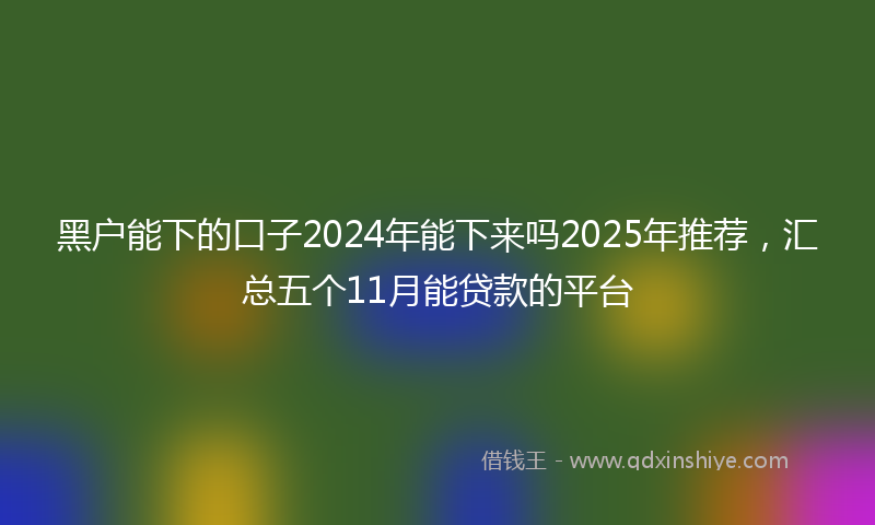 黑户能下的口子2024年能下来吗2025年推荐，汇总五个11月能贷款的平台