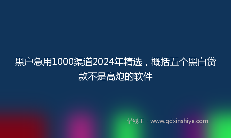 黑户急用1000渠道2024年精选，概括五个黑白贷款不是高炮的软件