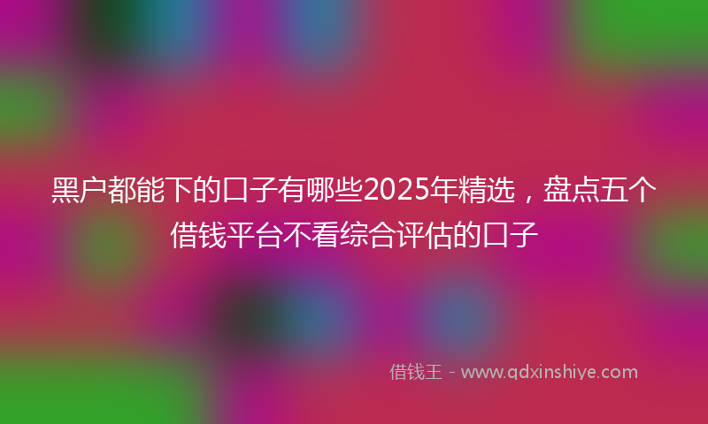 黑户都能下的口子有哪些2025年精选，盘点五个借钱平台不看综合评估的口子