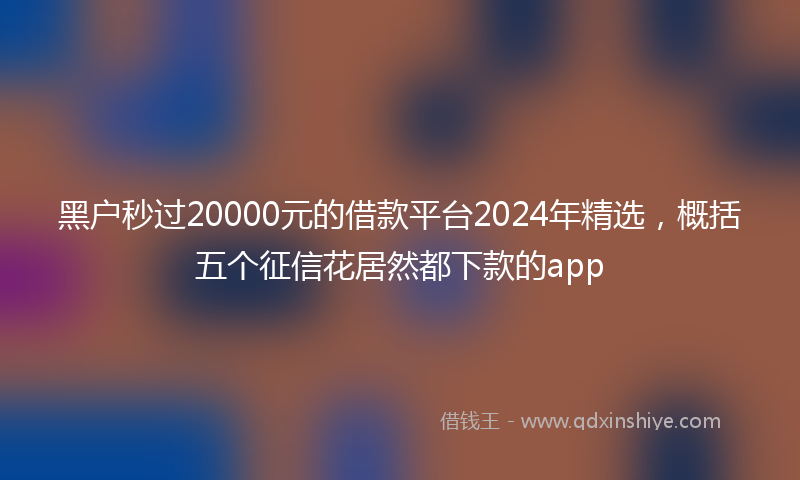 黑户秒过20000元的借款平台2024年精选，概括五个征信花居然都下款的app