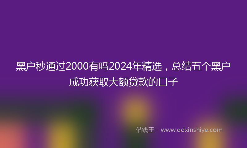 黑户秒通过2000有吗2024年精选，总结五个黑户成功获取大额贷款的口子