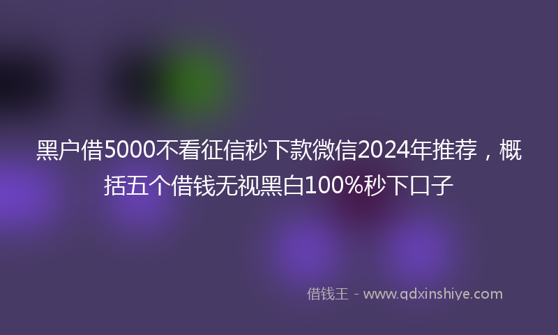 黑户借5000不看征信秒下款微信2024年推荐，概括五个借钱无视黑白100%秒下口子