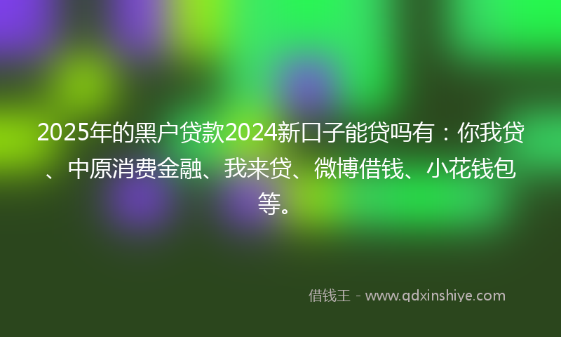 2025年的黑户贷款2024新口子能贷吗有：你我贷、中原消费金融、我来贷、微博借钱、小花钱包等。