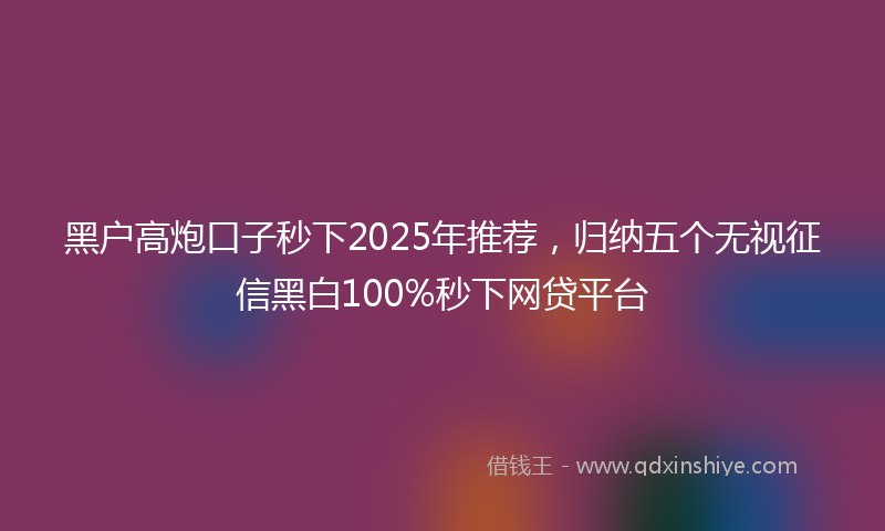 黑户高炮口子秒下2025年推荐，归纳五个无视征信黑白100%秒下网贷平台