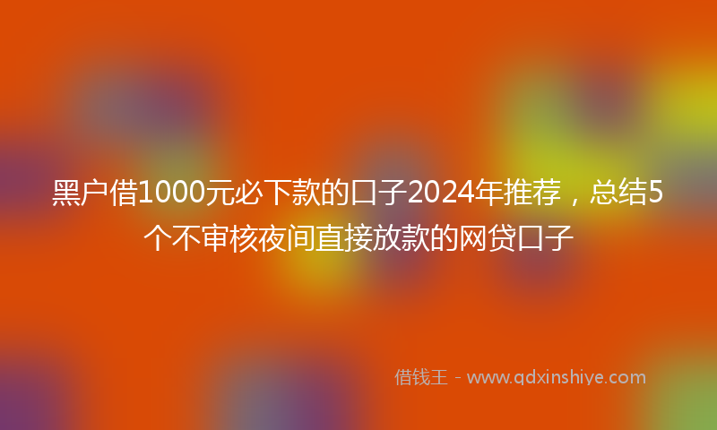 黑户借1000元必下款的口子2024年推荐，总结5个不审核夜间直接放款的网贷口子