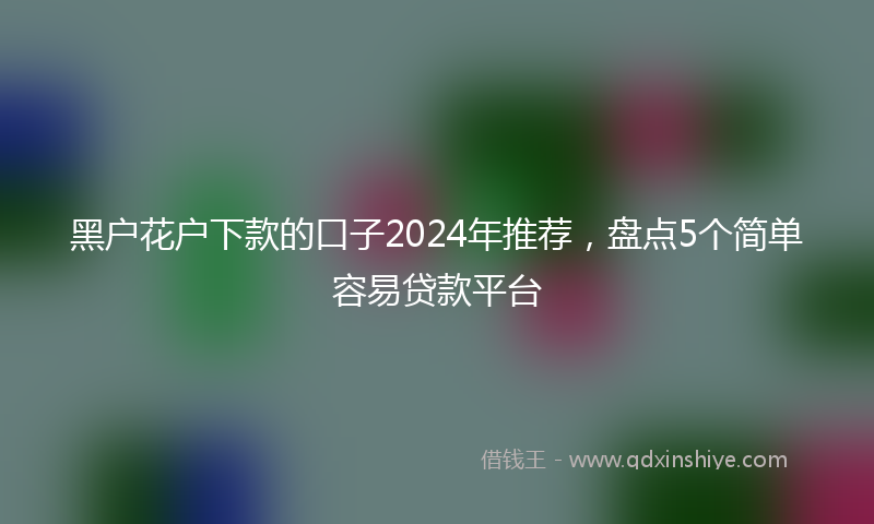 黑户花户下款的口子2024年推荐，盘点5个简单容易贷款平台