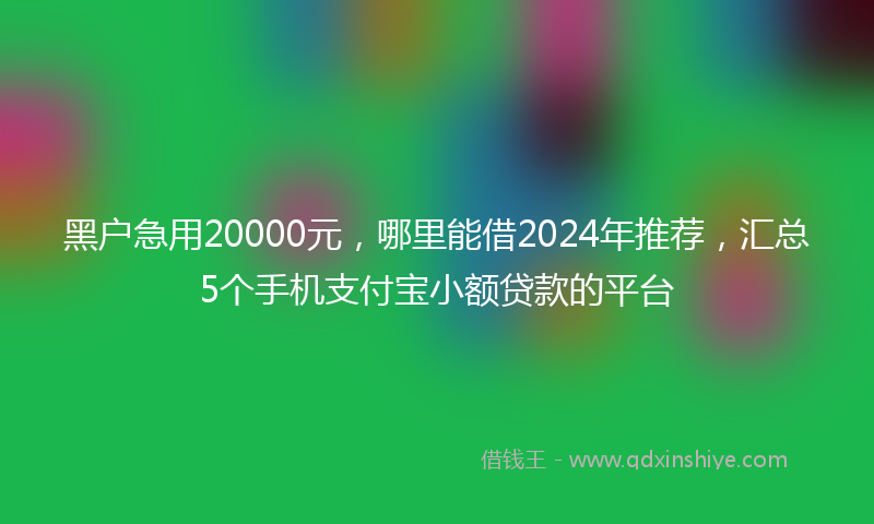 黑户急用20000元，哪里能借2024年推荐，汇总5个手机支付宝小额贷款的平台