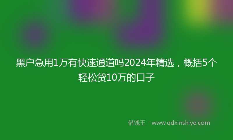 黑户急用1万有快速通道吗2024年精选，概括5个轻松贷10万的口子