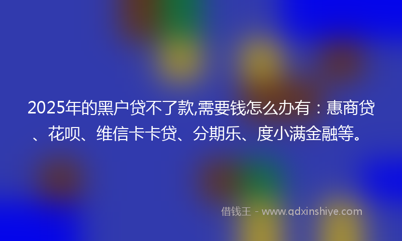 2025年的黑户贷不了款,需要钱怎么办有：惠商贷、花呗、维信卡卡贷、分期乐、度小满金融等。
