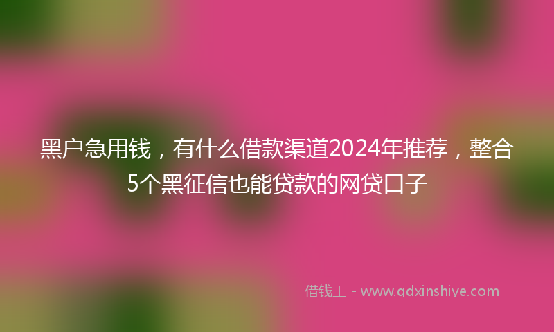 黑户急用钱，有什么借款渠道2024年推荐，整合5个黑征信也能贷款的网贷口子