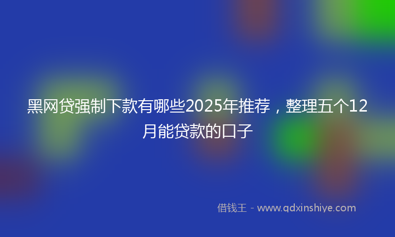 黑网贷强制下款有哪些2025年推荐，整理五个12月能贷款的口子