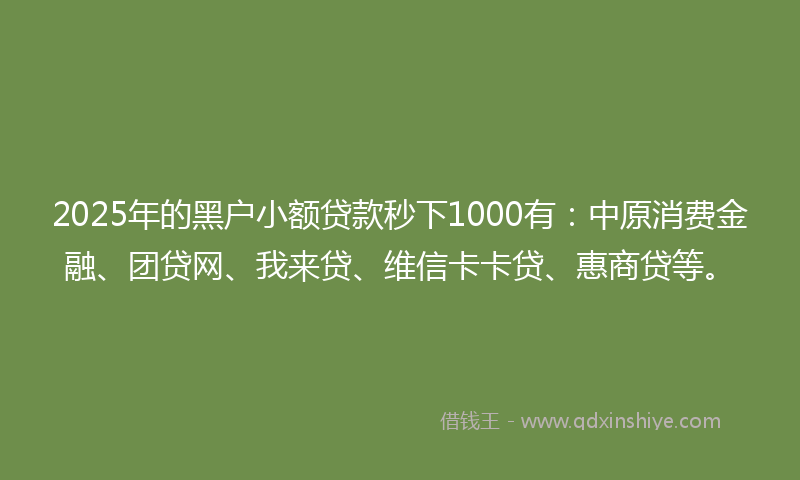 2025年的黑户小额贷款秒下1000有：中原消费金融、团贷网、我来贷、维信卡卡贷、惠商贷等。
