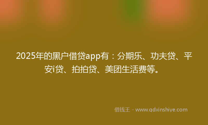 2025年的黑户借贷app有：分期乐、功夫贷、平安i贷、拍拍贷、美团生活费等。