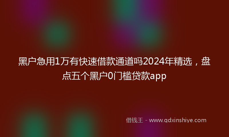 黑户急用1万有快速借款通道吗2024年精选，盘点五个黑户0门槛贷款app
