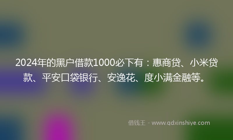 2024年的黑户借款1000必下有：惠商贷、小米贷款、平安口袋银行、安逸花、度小满金融等。