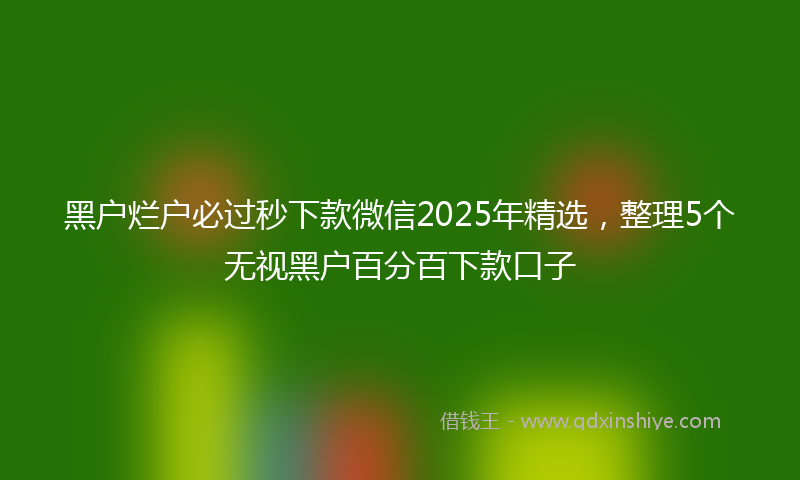 黑户烂户必过秒下款微信2025年精选，整理5个无视黑户百分百下款口子