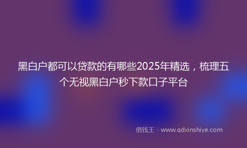 黑白户都可以贷款的有哪些2025年精选，梳理五个无视黑白户秒下款口子平台