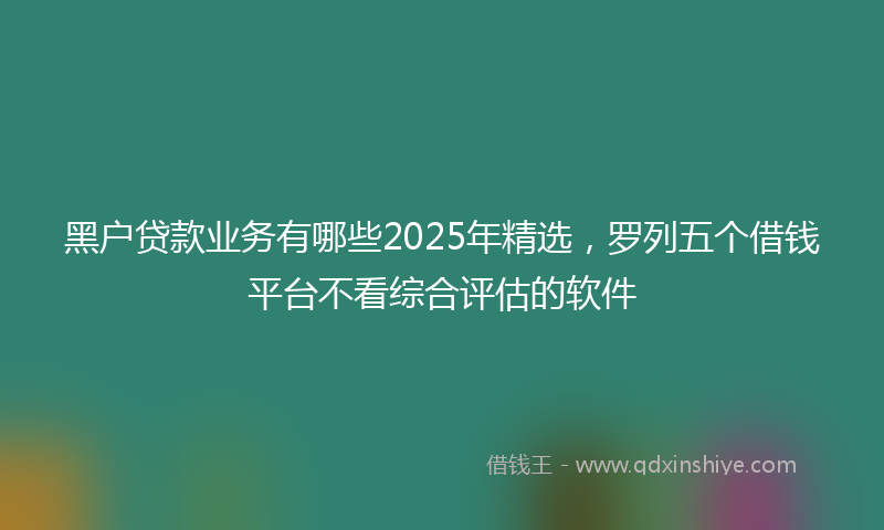 黑户贷款业务有哪些2025年精选，罗列五个借钱平台不看综合评估的软件