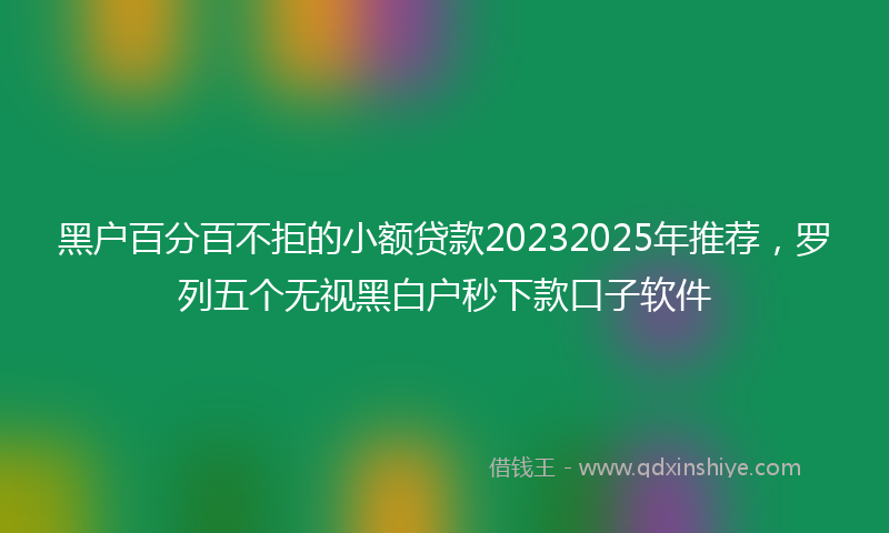 黑户百分百不拒的小额贷款20232025年推荐，罗列五个无视黑白户秒下款口子软件
