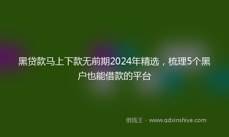 黑贷款马上下款无前期2024年精选，梳理5个黑户也能借款的平台