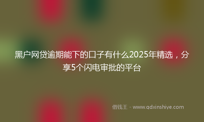 黑户网贷逾期能下的口子有什么2025年精选，分享5个闪电审批的平台