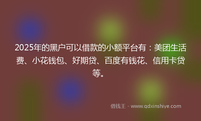 2025年的黑户可以借款的小额平台有：美团生活费、小花钱包、好期贷、百度有钱花、信用卡贷等。