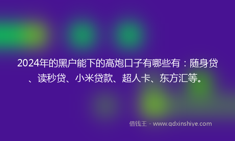 2024年的黑户能下的高炮口子有哪些有：随身贷、读秒贷、小米贷款、超人卡、东方汇等。