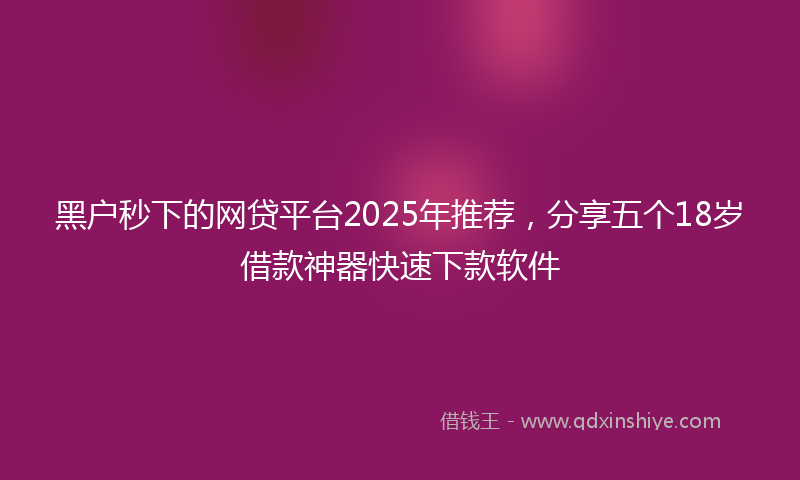 黑户秒下的网贷平台2025年推荐，分享五个18岁借款神器快速下款软件