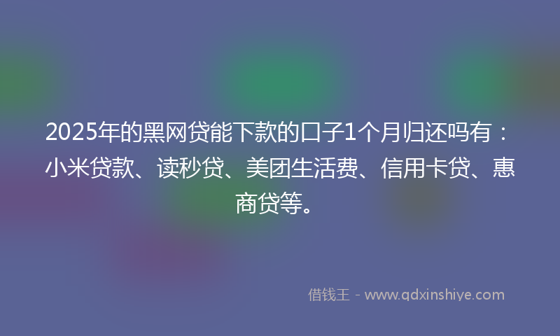 2025年的黑网贷能下款的口子1个月归还吗有：小米贷款、读秒贷、美团生活费、信用卡贷、惠商贷等。