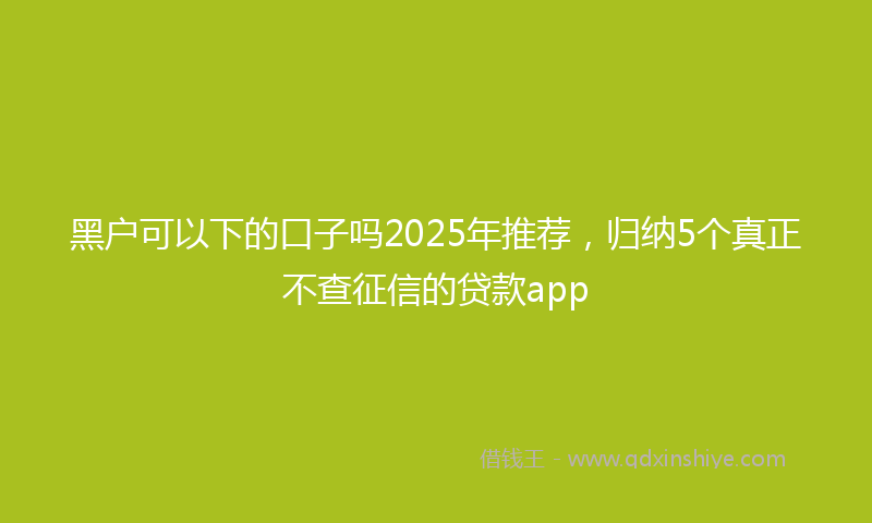 黑户可以下的口子吗2025年推荐，归纳5个真正不查征信的贷款app