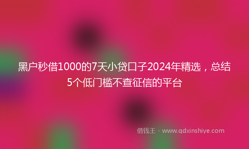 黑户秒借1000的7天小贷口子2024年精选，总结5个低门槛不查征信的平台