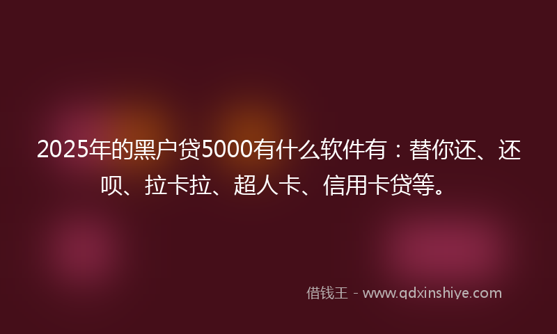 2025年的黑户贷5000有什么软件有：替你还、还呗、拉卡拉、超人卡、信用卡贷等。