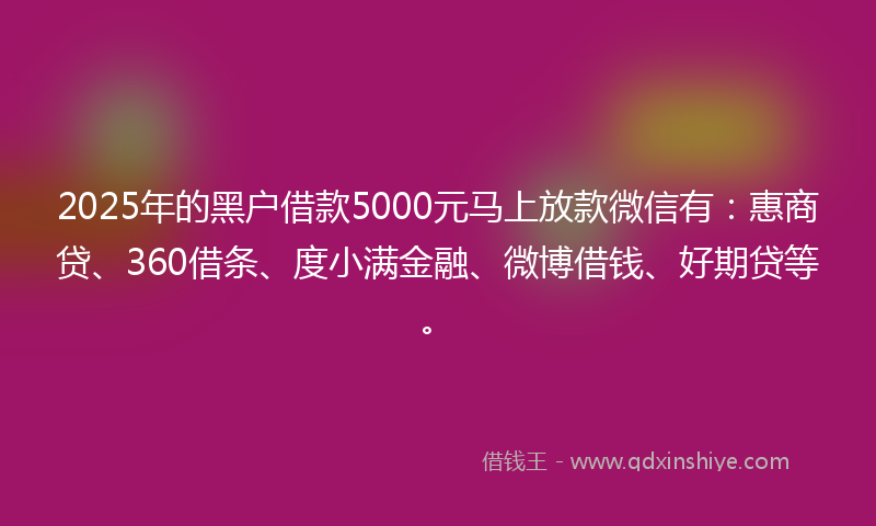 2025年的黑户借款5000元马上放款微信有：惠商贷、360借条、度小满金融、微博借钱、好期贷等。