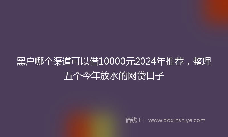 黑户哪个渠道可以借10000元2024年推荐，整理五个今年放水的网贷口子