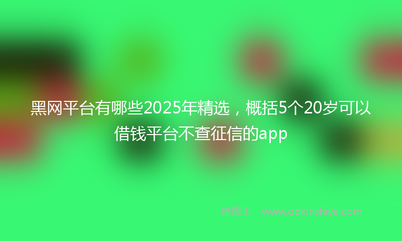 黑网平台有哪些2025年精选，概括5个20岁可以借钱平台不查征信的app