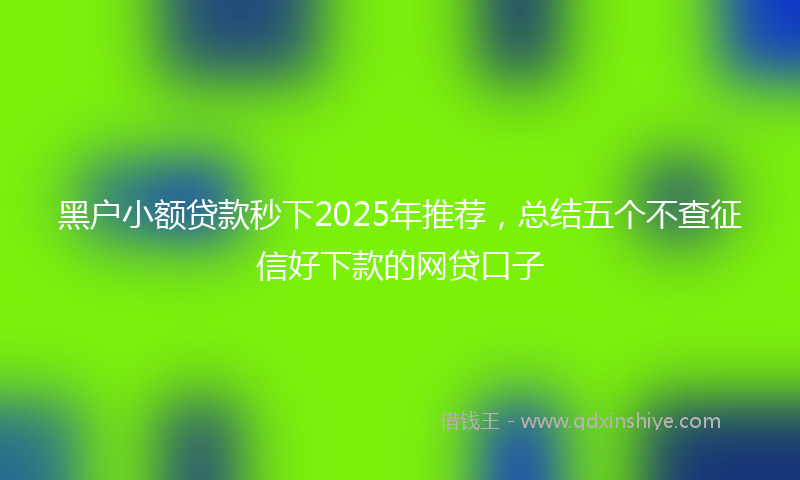 黑户小额贷款秒下2025年推荐，总结五个不查征信好下款的网贷口子