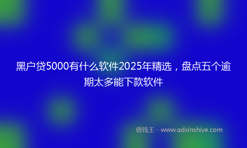 黑户贷5000有什么软件2025年精选，盘点五个逾期太多能下款软件