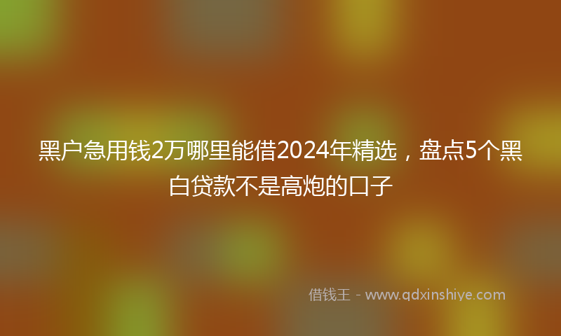 黑户急用钱2万哪里能借2024年精选，盘点5个黑白贷款不是高炮的口子