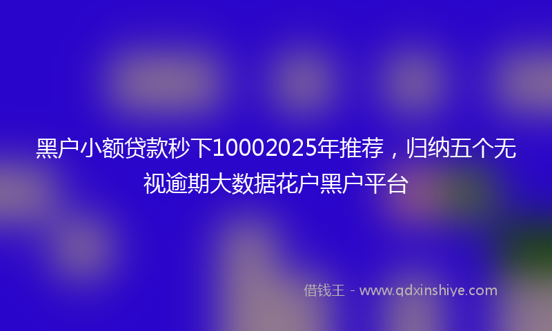 黑户小额贷款秒下10002025年推荐，归纳五个无视逾期大数据花户黑户平台