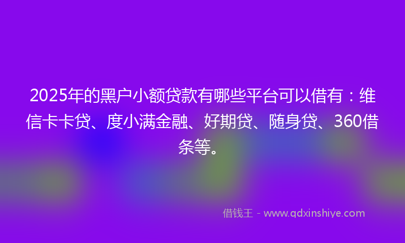 2025年的黑户小额贷款有哪些平台可以借有：维信卡卡贷、度小满金融、好期贷、随身贷、360借条等。