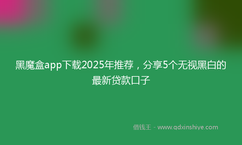 黑魔盒app下载2025年推荐，分享5个无视黑白的最新贷款口子