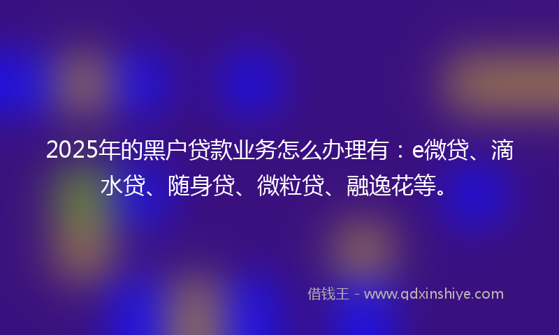 2025年的黑户贷款业务怎么办理有：e微贷、滴水贷、随身贷、微粒贷、融逸花等。