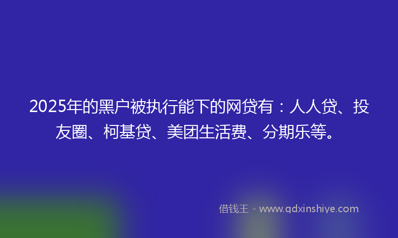 2025年的黑户被执行能下的网贷有：人人贷、投友圈、柯基贷、美团生活费、分期乐等。