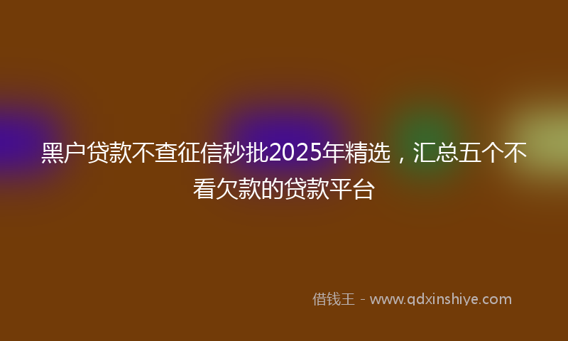 黑户贷款不查征信秒批2025年精选，汇总五个不看欠款的贷款平台