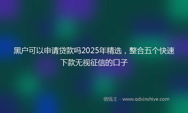 黑户可以申请贷款吗2025年精选，整合五个快速下款无视征信的口子
