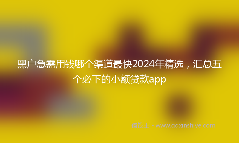 黑户急需用钱哪个渠道最快2024年精选，汇总五个必下的小额贷款app