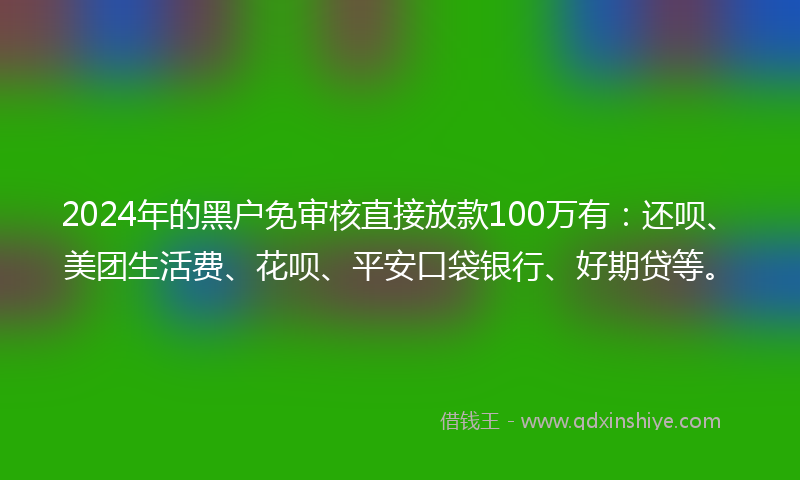 2024年的黑户免审核直接放款100万有：还呗、美团生活费、花呗、平安口袋银行、好期贷等。