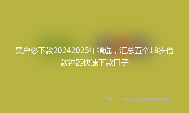 黑户必下款20242025年精选，汇总五个18岁借款神器快速下款口子