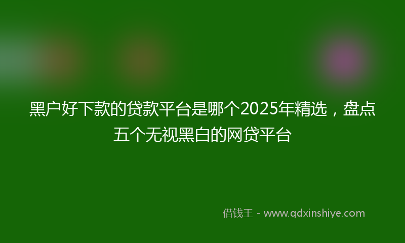 黑户好下款的贷款平台是哪个2025年精选，盘点五个无视黑白的网贷平台